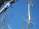 spiders-3133-s.jpg